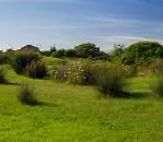 Marina Di Capitello 波尔蒂乔
